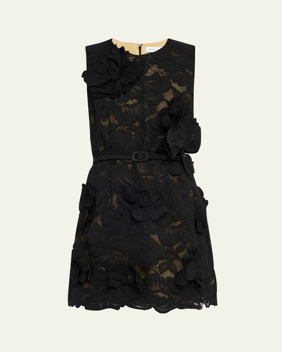Lace Floral Applique Belted Mini Dress